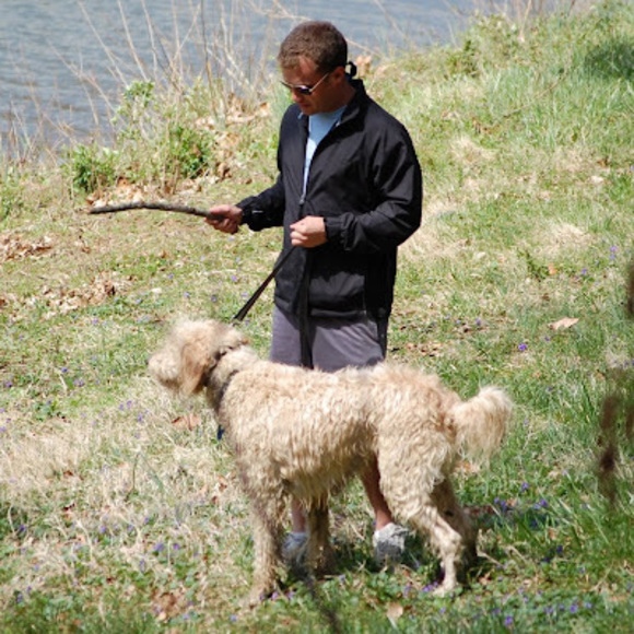 Meet your Posher, Damon - Picture 1 of 1